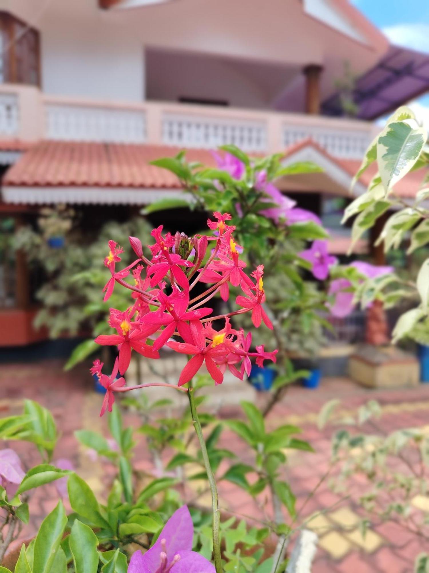 Shivalaya Homestay, Madikeri Siddapura  Экстерьер фото