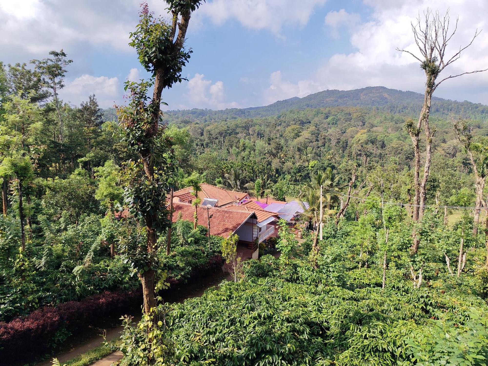 Shivalaya Homestay, Madikeri Siddapura  Экстерьер фото