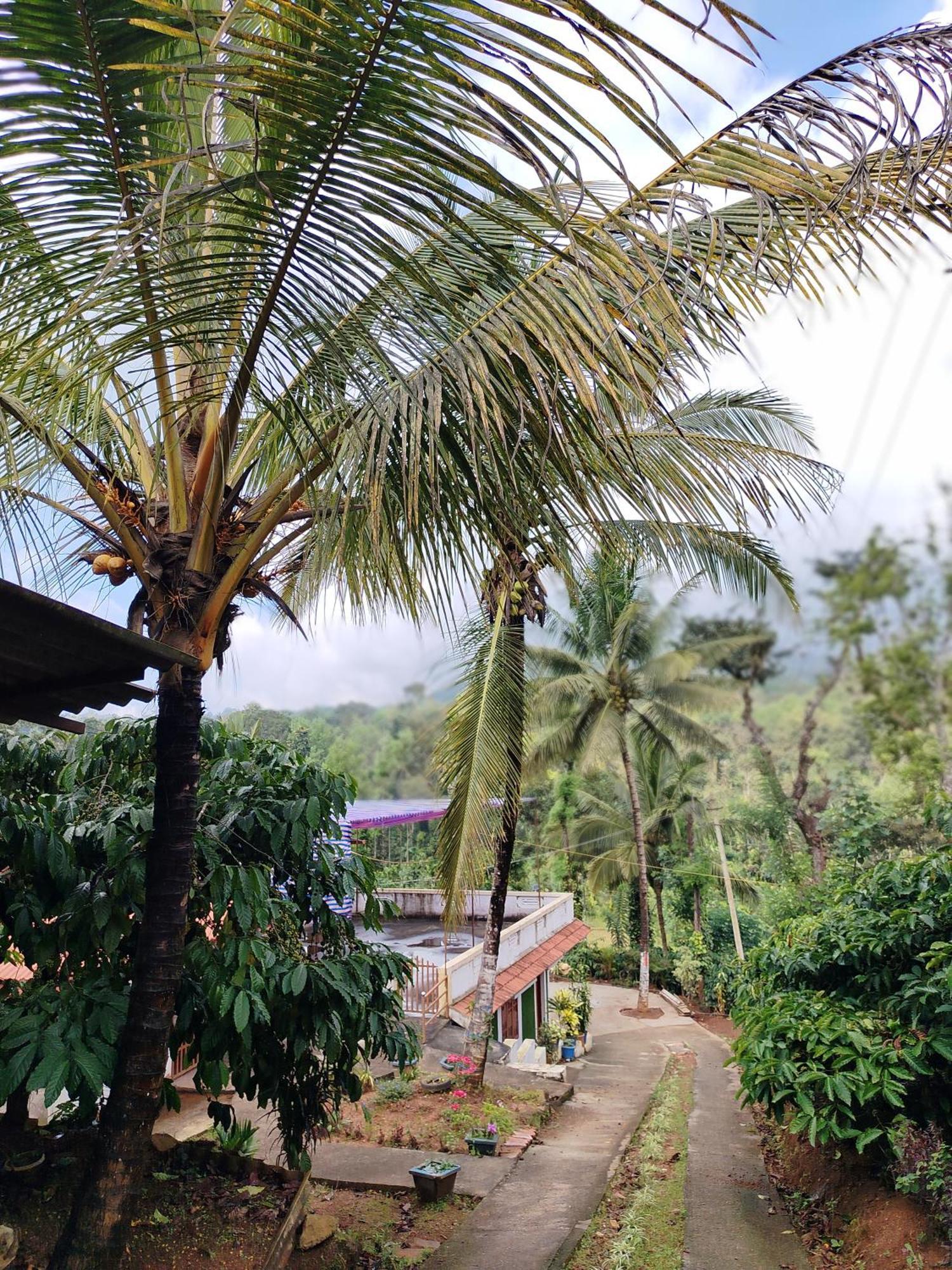 Shivalaya Homestay, Madikeri Siddapura  Экстерьер фото